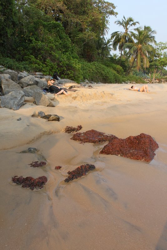 India 2010 - Kerala - Kannur - Costa Malabari - Costa Malabari Beach